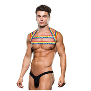 RAINBOW HARNESS -