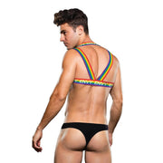 RAINBOW HARNESS -