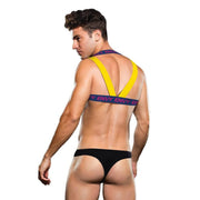 ENVY LOGO HARNESS - BLUE/YELLOW -