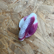 Spathe