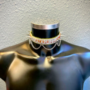 Feral Puppy Collar