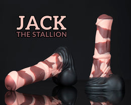 Jack The Stallion