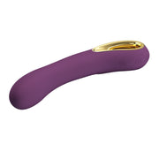 Pretty Love Ethan Rechargeable Vibrator