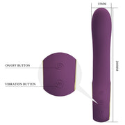 Pretty Love Ethan Rechargeable Vibrator