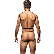 Envy 3 Piece Wet Look Chest Harness LXL