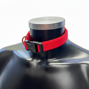 Furfitters Red Collar