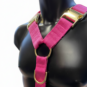Furfitters Harness Pink with Brass hardware