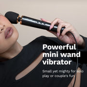 Le Wand Powerful Petite Plug In