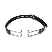 Me You Us Spider Stretch Gag