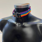 Furfitters Rainbow Collar
