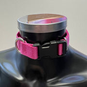 Furfitters Pink Collar
