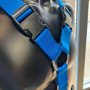 Furfitters Harness Blue with black hardwear