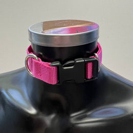 Furfitters Collar Pink with black hardware