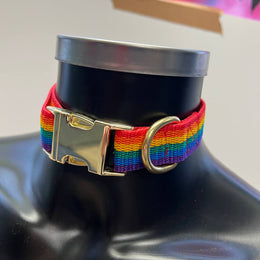 Furfitters Collar Rainbow with Brass hardwear