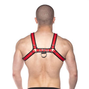 Prowler RED Bull Harness
