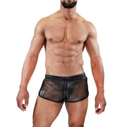 Roman Shorts - Size : L