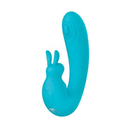 The Internal Rabbit