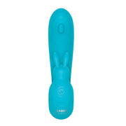 The Internal Rabbit