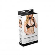 Whipsmart Diamond Collar & Leash